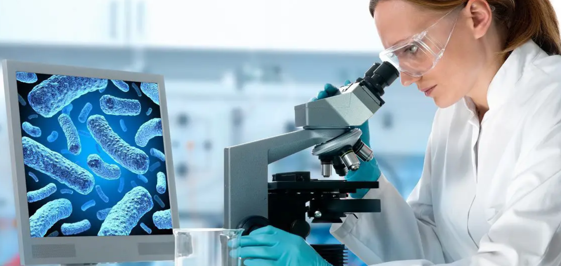 A man in blue gloves looking through a microscope.